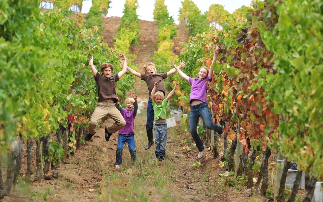 Quinta de Sant’Ana, a story of romance, family and wine